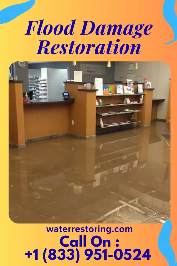 Flood Damage Restoration in Privateer, SC