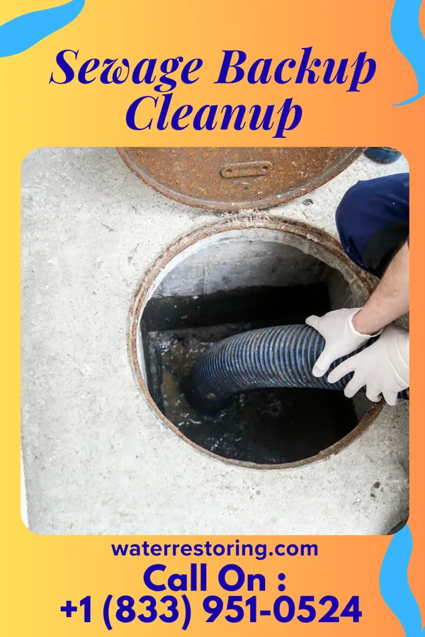 Sewage Backup Cleanup in Privateer, SC
